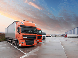 International Land Transportation